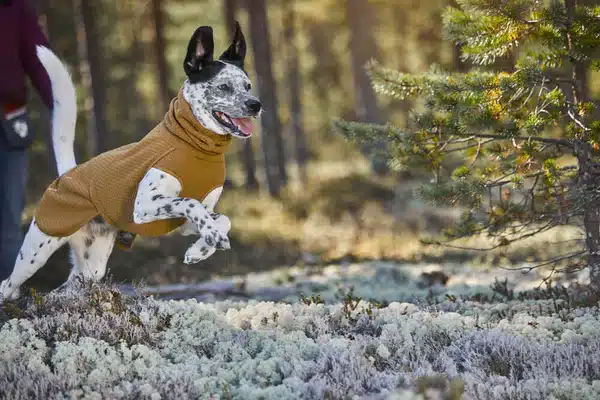 Abrigo Hurtta Midlayer Warming Eco - Imagen 2