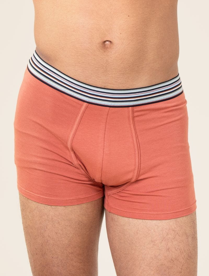 Pack 2 bóxer algodón orgánico azul y coral - Imagen 2